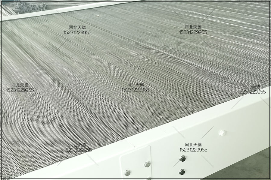 網(wǎng)帶輸送機(jī)